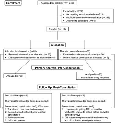 Controlled trial of decision support for men with early-stage prostate cancer: brief research report of effects on patient knowledge